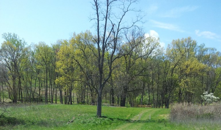 PERFO used to reinforce vehicle tracks in picnic area at Sky Meadows State Park Virginia